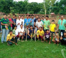 Plantation Campaign